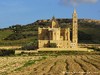 Malta Pinu Picture