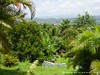 Martinique Island Picture