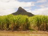 Mauritius Country Picture