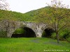 Montenegro Lake Skadar Picture