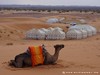 Morocco Erg Chebbi Picture