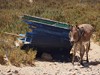 Morocco Coast Picture