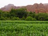 Morocco Dades Valley Picture