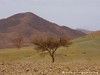 Morocco Draa Valley Picture