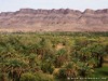 Morocco Draa Valley Picture