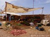 Morocco Draa Valley Picture