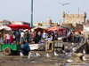 Morocco Essaouira Picture