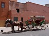 Morocco Marrakesh Picture