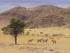 Namibia Country Picture