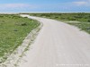 Namibia Etosha Picture