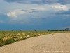Namibia Etosha Picture