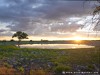 Namibia Etosha Picture