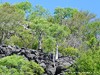 Namibia Etosha Picture
