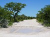 Namibia Etosha Picture