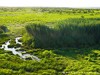 Namibia Etosha Picture