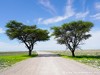 Namibia Etosha Picture