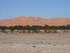 Namibia Gobabeb Picture