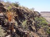 Namibia Grootberg Picture
