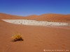 Namibia Namib Picture