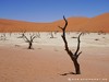 Namibia Namib Picture