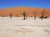 Namibia Namib Picture
