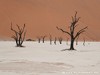 Namibia Namib Picture