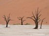 Namibia Namib Picture