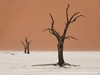 Namibia Namib Picture