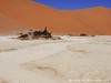 Namibia Namib Picture
