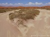 Namibia Namib Picture