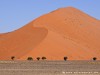 Namibia Namib Picture