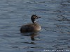 Netherlands Ijsselmeer Picture