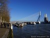 Netherlands Rotterdam Picture