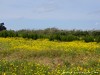 Northern Cyprus Country Picture