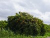 Northern Cyprus Country Picture