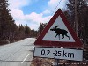 Norway Hardangervidda Picture