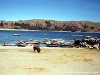 Peru Lake Titicaca Picture