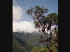 Peru Manu National Park Picture