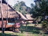 Peru Manu National Park Picture