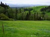 Poland Country Picture