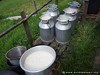 Poland Country Picture