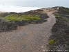 Portugal Beaches Picture