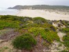 Portugal Beaches Picture