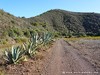 Portugal Country Picture