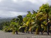 Reunion Black Sand Beach Picture