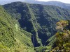 La Réunion Forêt de Bébour Picture