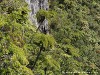 La Réunion Forêt de Bébour Picture