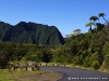 La Réunion Forêt de Bébour Picture