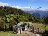 La Réunion Forêt de Bébour Picture