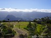 La Réunion Forêt de Bébour Picture